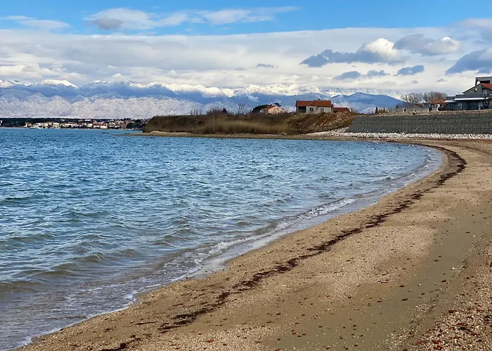 Διαμέρισμα A&m